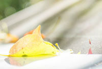 也在不断提 也在不断提